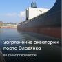 Дальневосточное межрегиональное управление Росприроднадзора провело выездное обследование акватории в бухте Славянка Приморского края