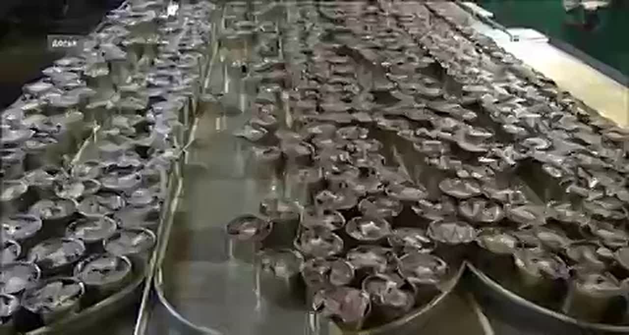 Полномочный представить Президента РФ в Дальневосточном федеральном округе Юрий Трутнев 5 ноября побывал в Приморье