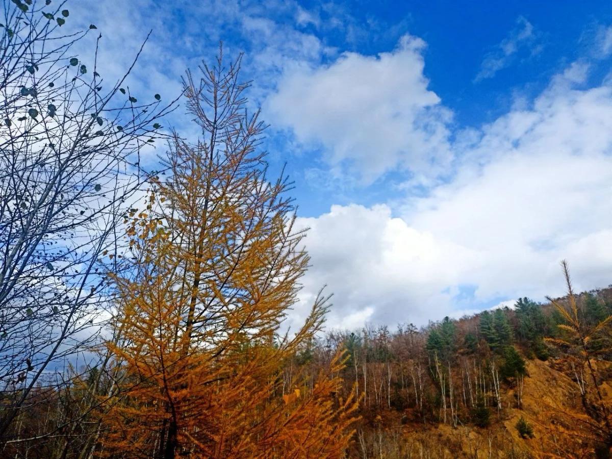 От крепких морозов до +14°C: Приморье ждут «нестабильные» выходные