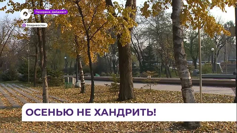 Приморские врачи регистрируют частые обращения людей по поводу осенней хандры