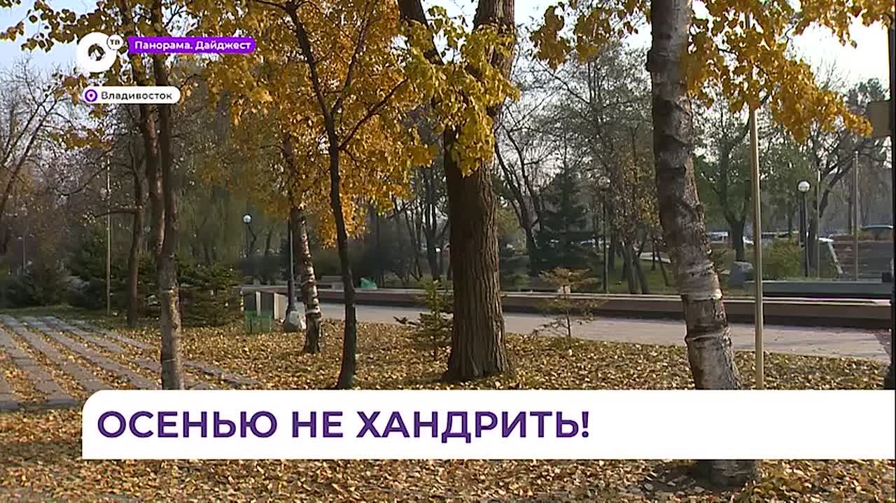 Приморские врачи регистрируют частые обращения людей по поводу осенней хандры