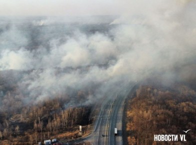 Во вторник, 4 ноября, пожарные отбили от огня два населённых пункта в Приморье