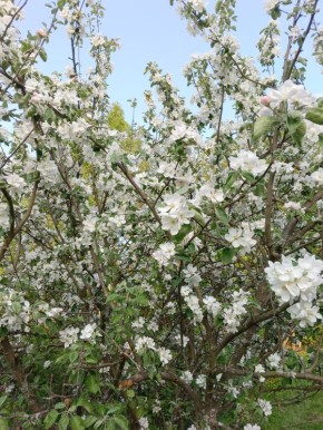 Жизнь после 60: мечты, близость и новые увлечения на пенсии