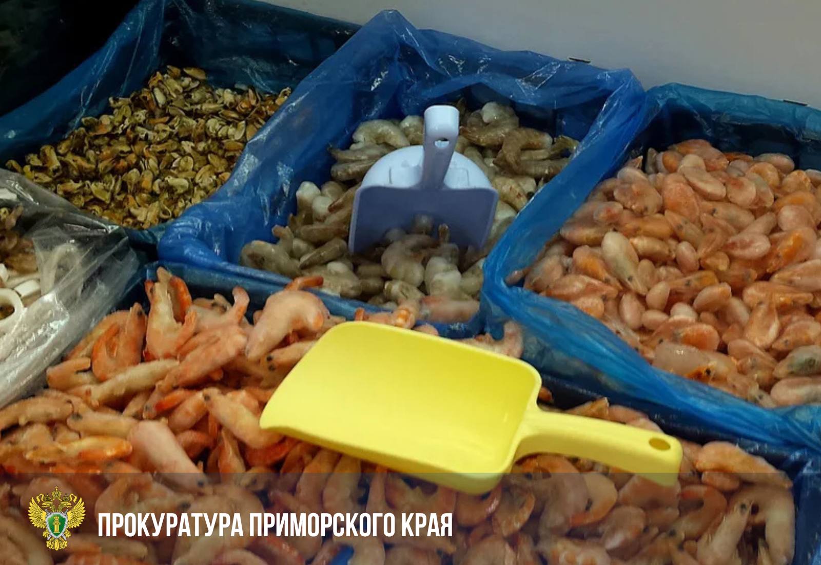 Во Владивостоке суд рассмотрит уголовное дело о незаконном обороте морепродуктов