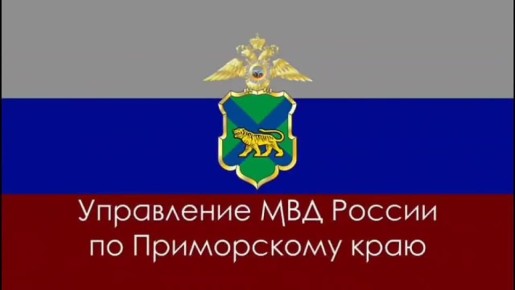 В Артеме полицейские привлекли к ответственности подростка, распылившего в автобусе перцовый газ
