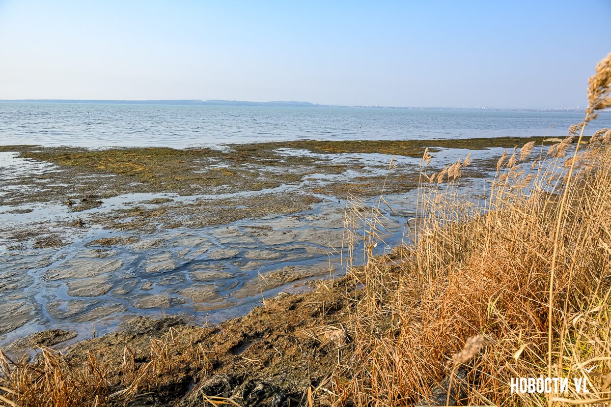 Мёртвая вода: речка с рыбой и утками в Трудовом за несколько лет помутнела и стала пахнуть канализацией