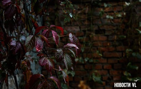 Доброе утро, Владивосток. Утром возможен небольшой дождь