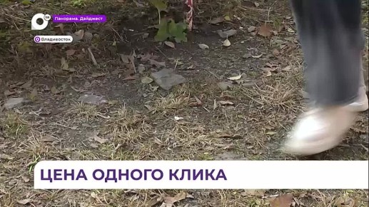 В Приморье зафиксировали рост кибермошенничества с участием детей