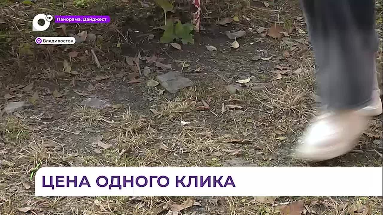 В Приморье зафиксировали рост кибермошенничества с участием детей