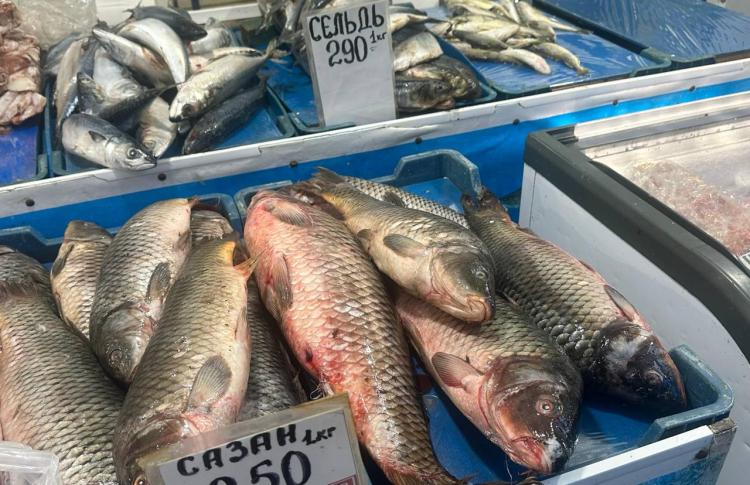 В Приморском крае в ближайшие годы возведут три завода по переработке рыбы — один крупный и два малых