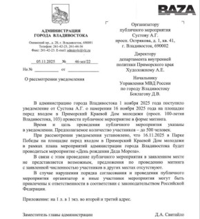 Дед Мороз помешал бороться с повышением утильсбора в России — мэрия Владивостока запретила митинг активистов из-за «дня рождения» новогоднего волшебника