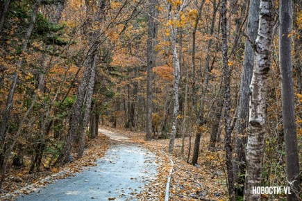 Ещё 8 километров новых дорожек появилось в Ботаническом саду во Владивостоке