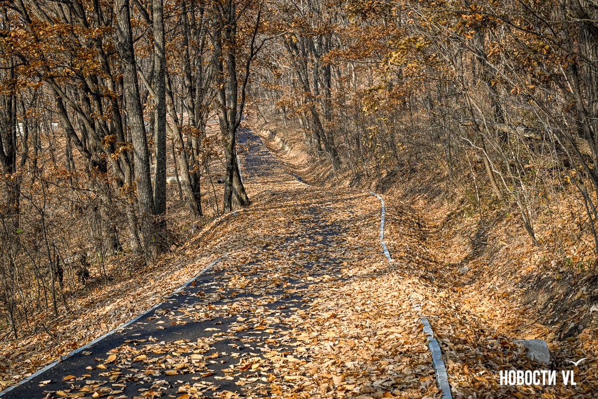 Ещё 8 километров новых дорожек появилось в Ботаническом саду во Владивостоке Ещё 8 километров новых дорожек появилось в Ботаническом саду во Владивостоке