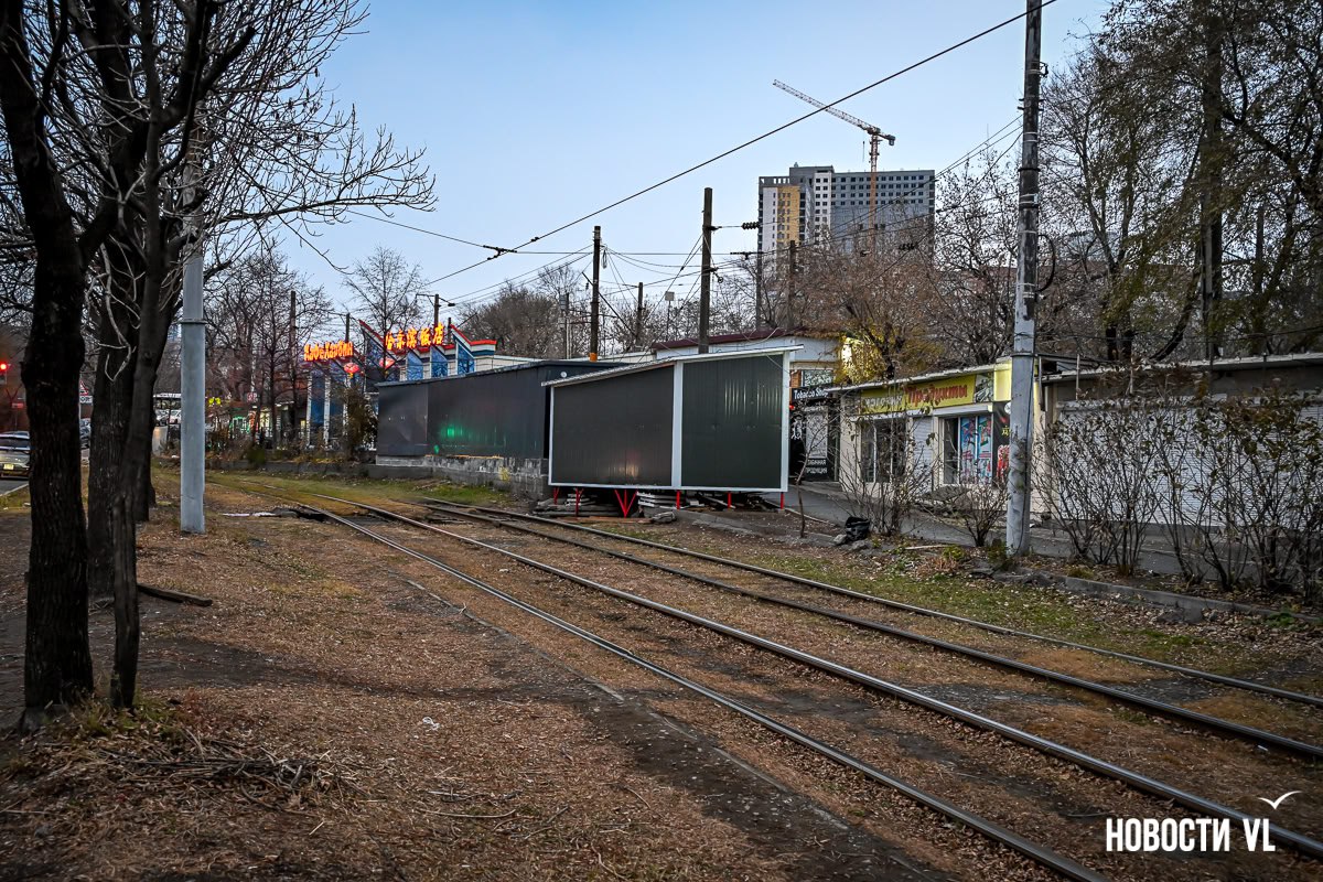 Новые павильоны на Спортивной незаконно подключили к электросетям, деревья спилили без разрешения – мэрия Новые павильоны на Спортивной незаконно подключили к электросетям, деревья спилили без разрешения – мэрия