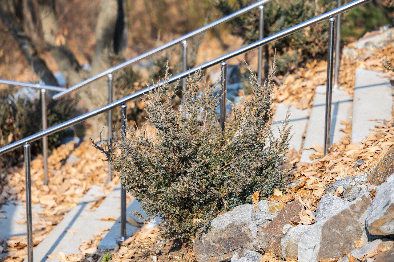 Константин Шестаков: Более 1200 саженцев деревьев, кустарников и многолетних цветов появилось в парке на Ватутина во Владивостоке Константин Шестаков: Более 1200 саженцев деревьев, кустарников и многолетних цветов появилось в парке на Ватутина во Владивостоке