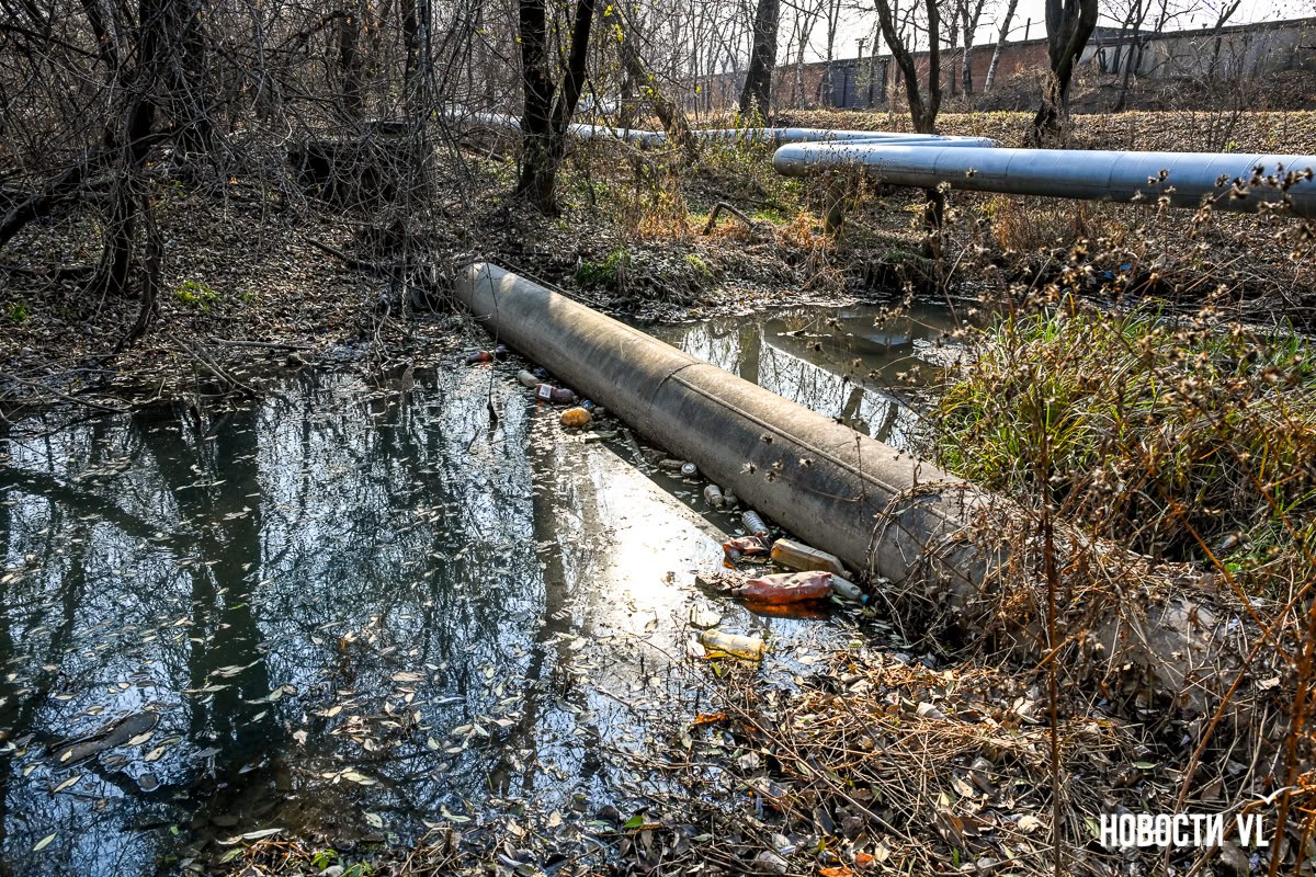 Мёртвая вода: речка с рыбой и утками в Трудовом за несколько лет помутнела и стала пахнуть канализацией Мёртвая вода: речка с рыбой и утками в Трудовом за несколько лет помутнела и стала пахнуть канализацией