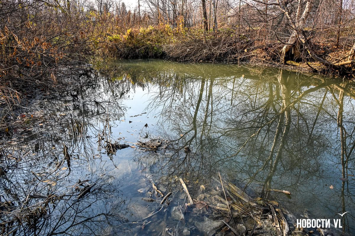 Мёртвая вода: речка с рыбой и утками в Трудовом за несколько лет помутнела и стала пахнуть канализацией Мёртвая вода: речка с рыбой и утками в Трудовом за несколько лет помутнела и стала пахнуть канализацией