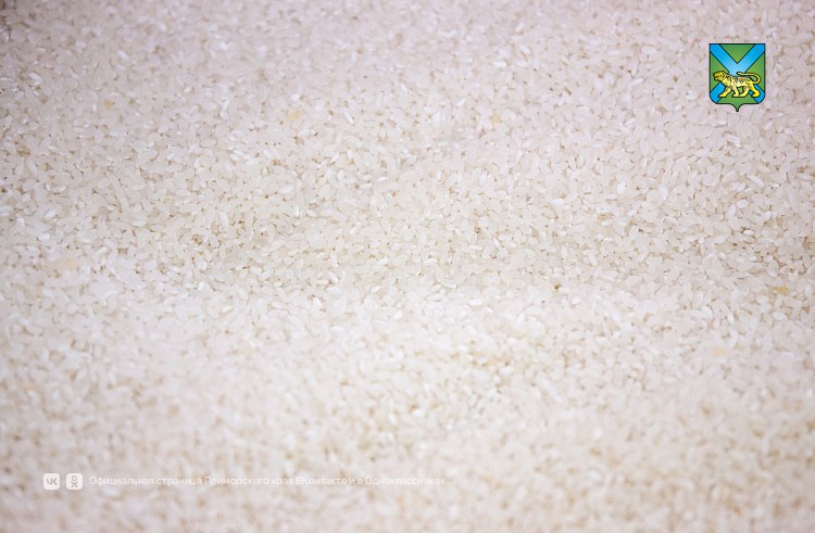 Приморские аграрии заканчивают уборку риса с рекордными результатами