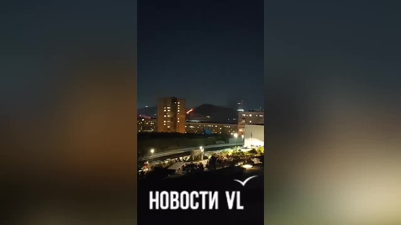 Читатели Новостей VL заметили пал на сопке Шошина