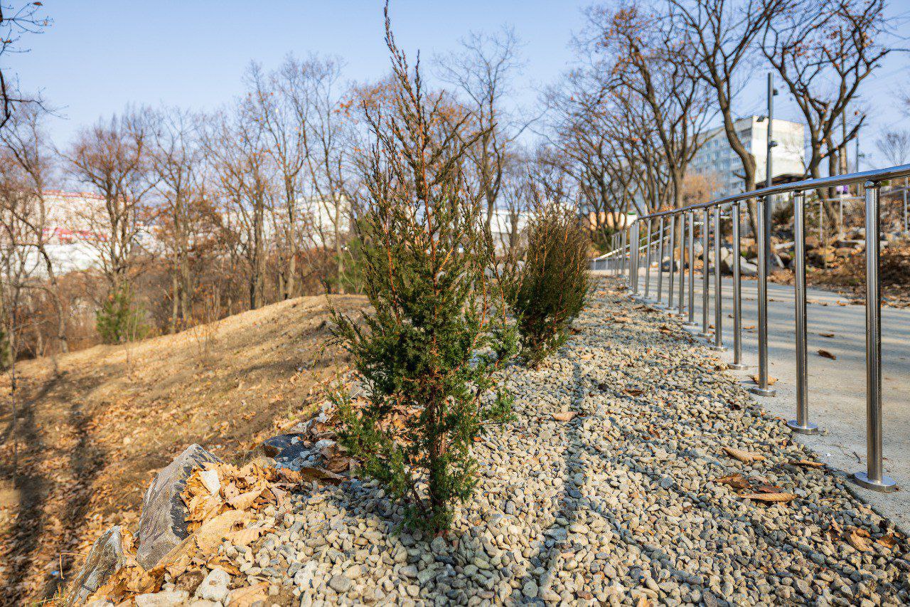 Константин Шестаков: Более 1200 саженцев деревьев, кустарников и многолетних цветов появилось в парке на Ватутина во Владивостоке Константин Шестаков: Более 1200 саженцев деревьев, кустарников и многолетних цветов появилось в парке на Ватутина во Владивостоке