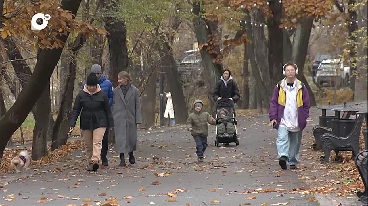 Синоптики озвучили прогноз погоды на ноябрь в Приморье