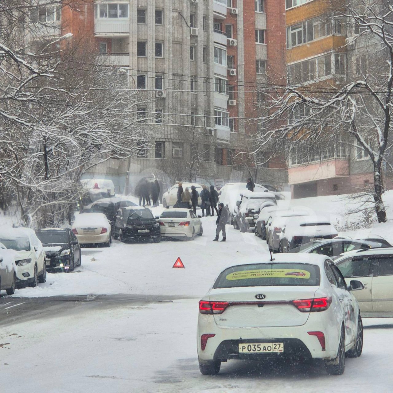 «День жестянщика» наступил в Хабаровске из-за сильного снегопада «День жестянщика» наступил в Хабаровске из-за сильного снегопада