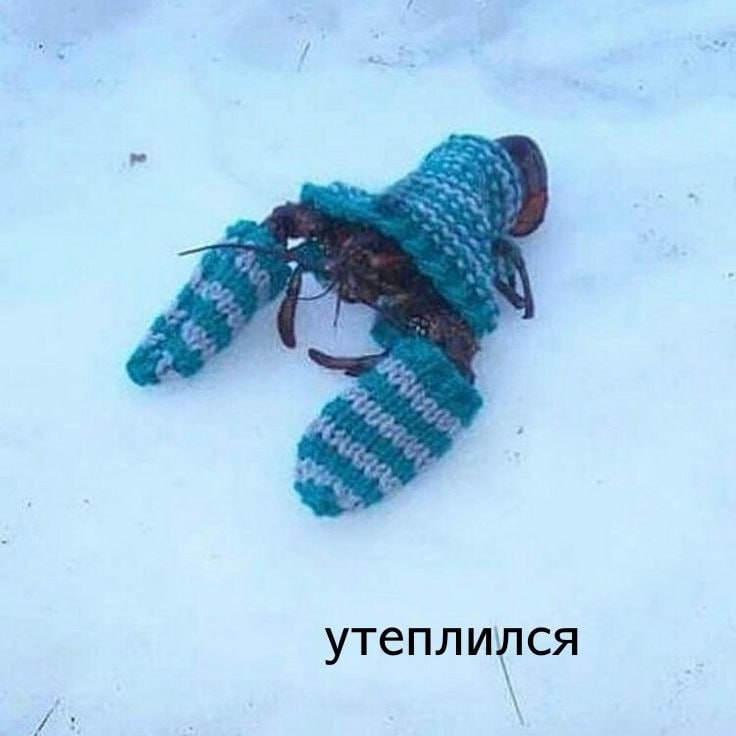 Уже завтра Приморье накроют осадки – от мокрого снега до дождя