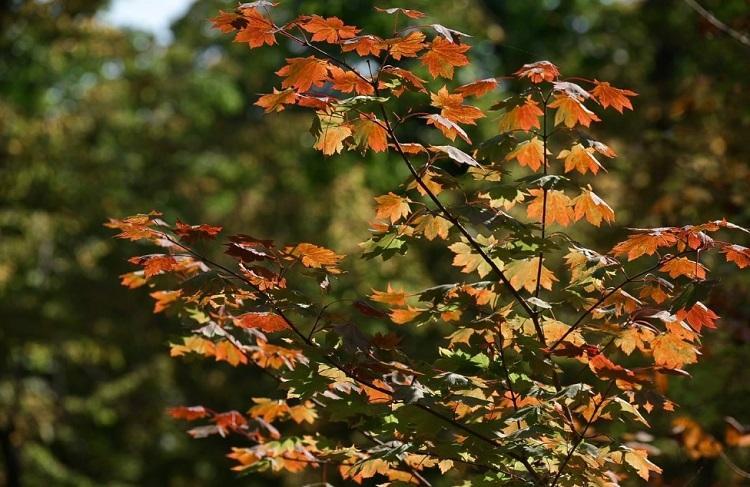 Циклоны и антициклоны: что ждет приморцев на предстоящей неделе