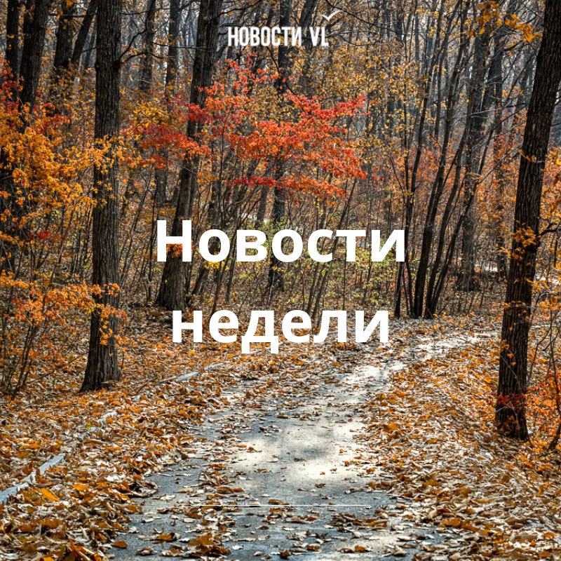 Материалы недели от Новостей VL, которые вы могли пропустить: