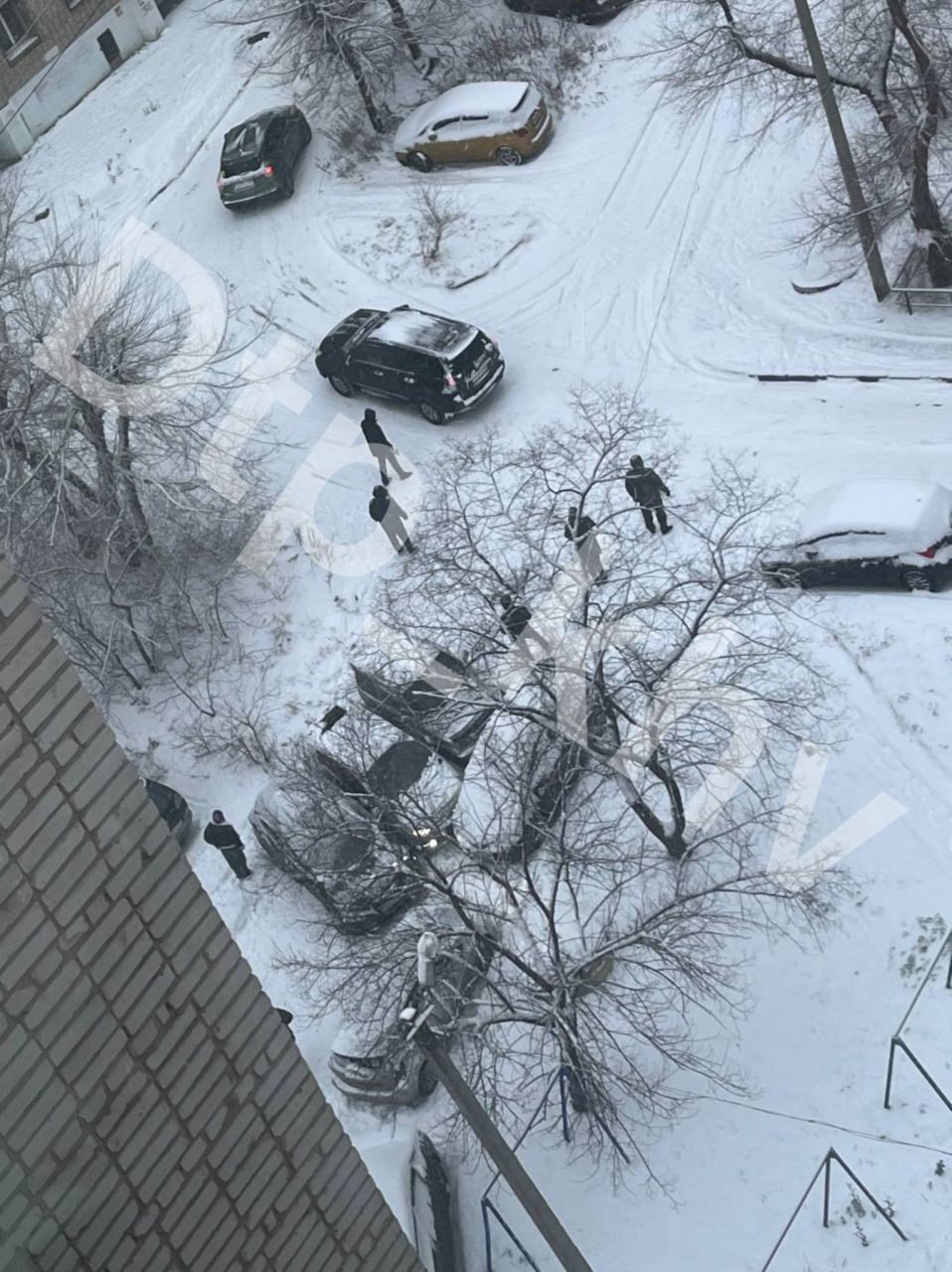 «День жестянщика» наступил в Хабаровске из-за сильного снегопада «День жестянщика» наступил в Хабаровске из-за сильного снегопада