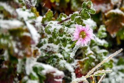 Доброе утро! Сегодня во Владивостоке облачно, во второй половине небольшие осадки (снег с дождём, дождь)