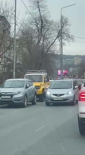 Во Владивостоке пошел снег
