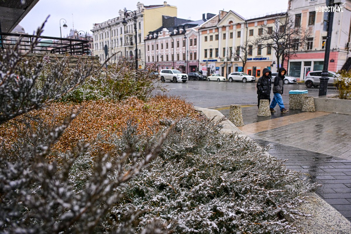 А снег идёт.... Это уже не те несколько снежинок, что упали в середине октября. Снег идёт настоящий, не мокрый, не с дождём, как пугали синоптики. Фотограф Новостей VL прогулялся по центру Владивостока – показать вам... А снег идёт.... Это уже не те несколько снежинок, что упали в середине октября. Снег идёт настоящий, не мокрый, не с дождём, как пугали синоптики. Фотограф Новостей VL прогулялся по центру Владивостока – показать вам...