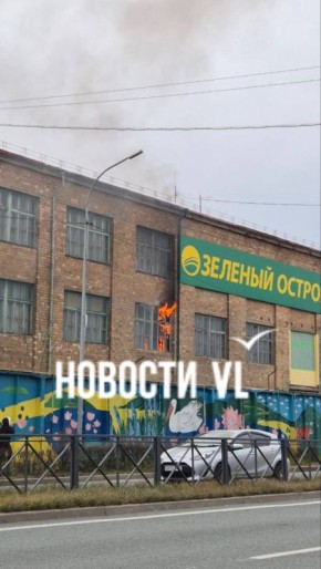 Читатели Новостей VL сообщили, что в здании «Зелёного острова»