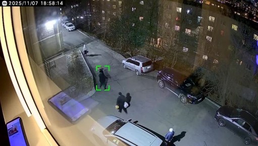 Мужчина напал на соседку из-за парковочного места во Владивостоке