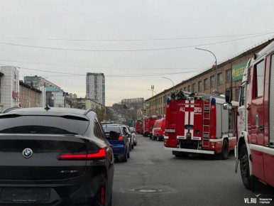 В МЧС Приморского края уточнили, что в «Зелёном острове» горели стеллажи с хозтоварами