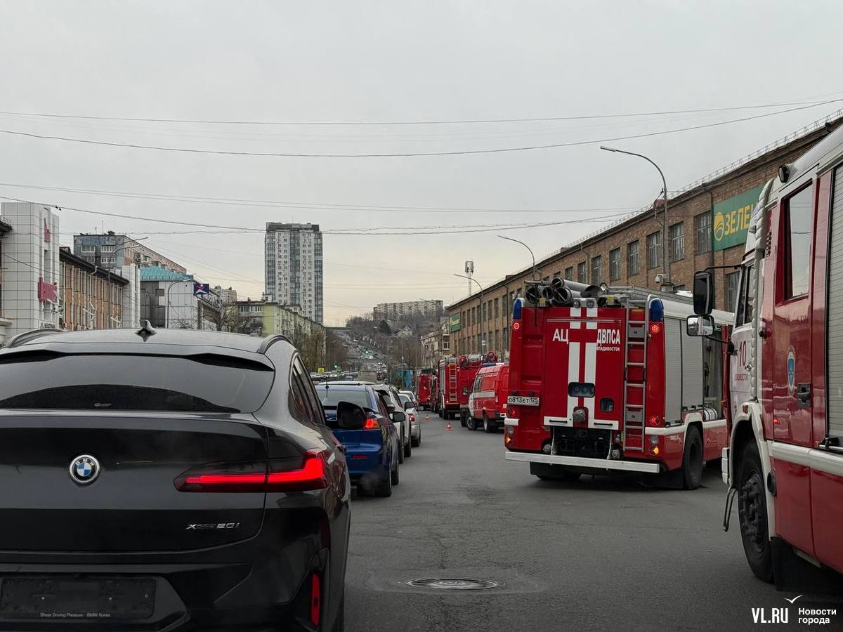 В МЧС Приморского края уточнили, что в «Зелёном острове» горели стеллажи с хозтоварами