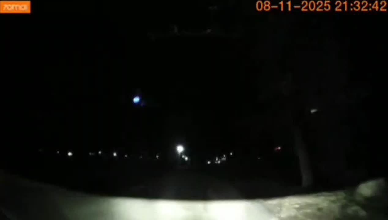 Жителей Заводского, где заметили тигра, попросили не ходить в лес