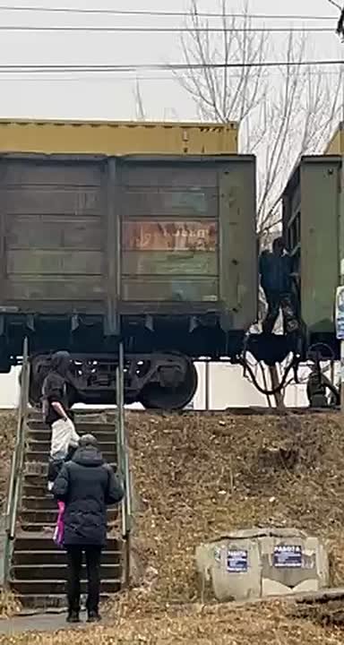 На Военном шоссе люди проползают под вагонами поезда