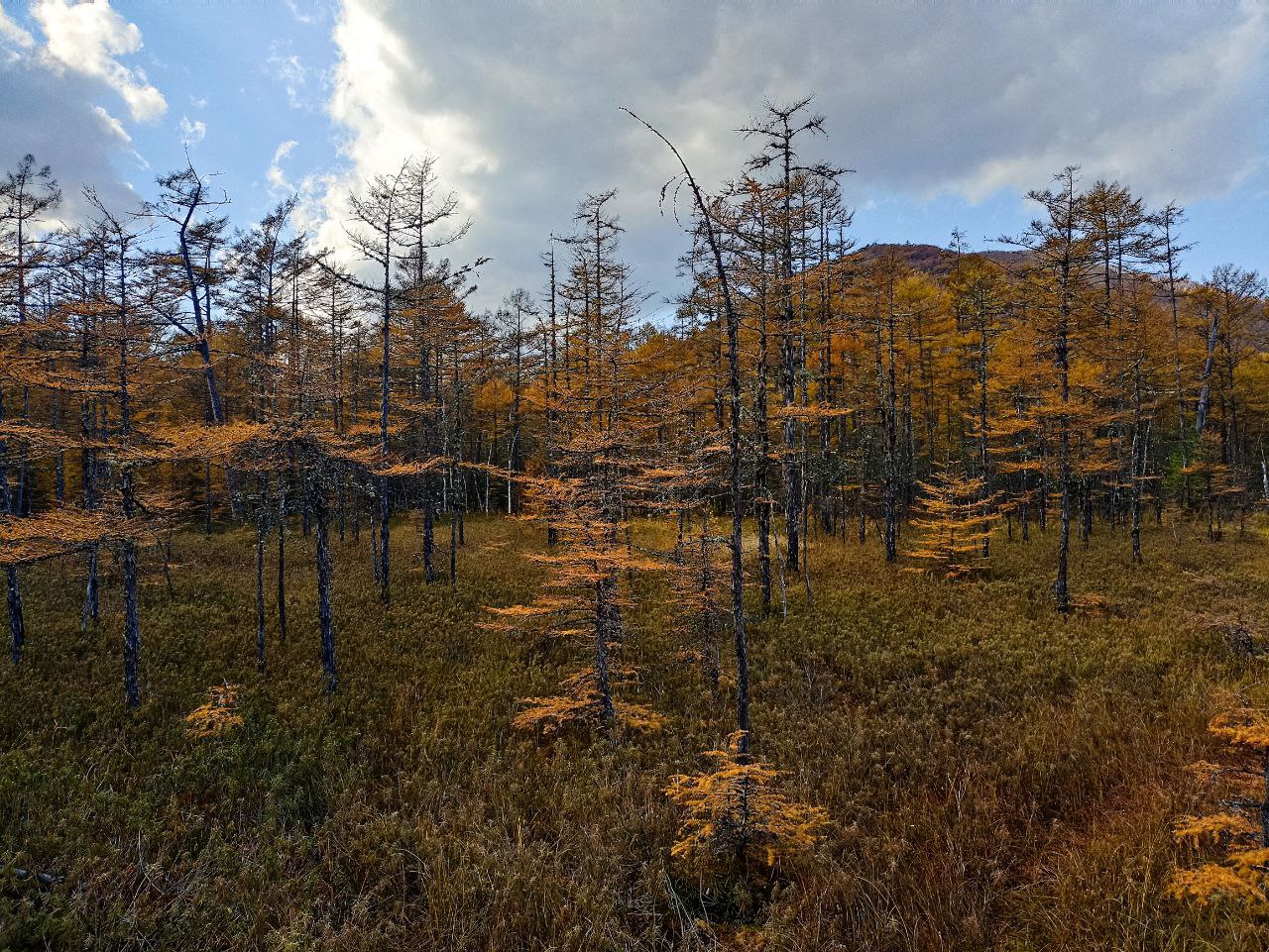 «Погодные качели» ожидают Приморье на следующей неделе