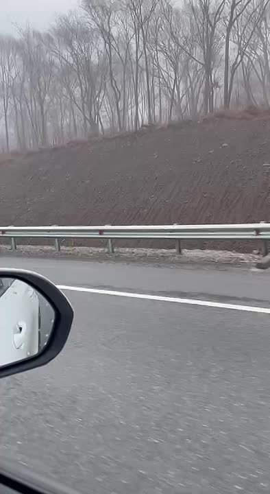 После циклона юг Приморья накрыл густой туман