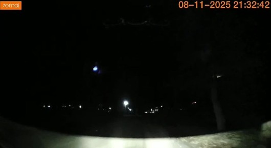 В часе езды от Владивостока прошедшей ночью заметили тигра