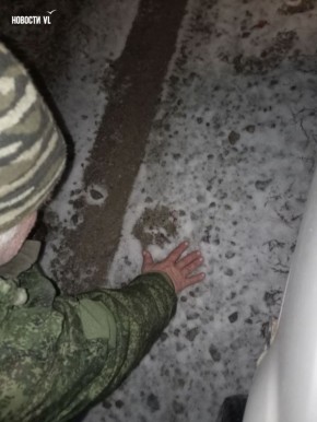   VL ,   ,   ,    100    &quot; 9232 &quot;   