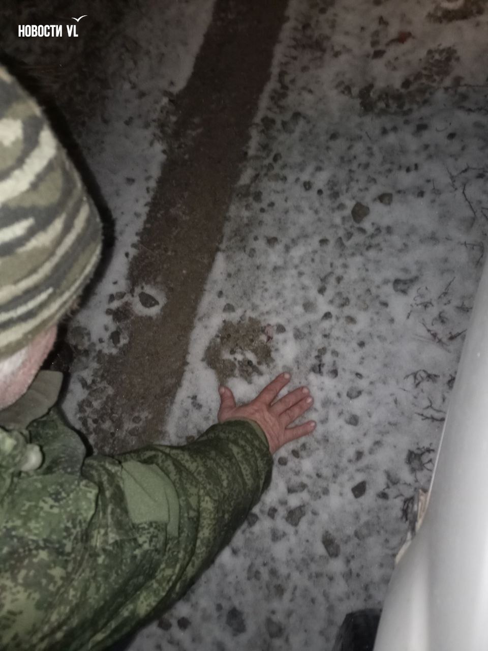 Читатели Новостей VL сообщают, что свежие следы, похожие на тигриные, они обнаружили в 100 метрах от остановки "Платформа 9232 км" в Надеждинском районе