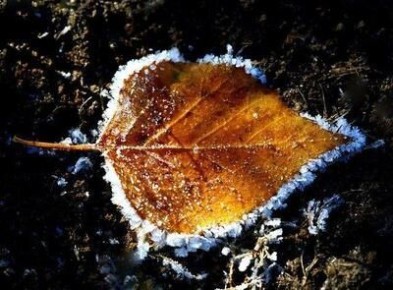 Во Владивостоке и Приморском крае следующий снег ожидается в воскресенье и понедельник, 16–17 ноября