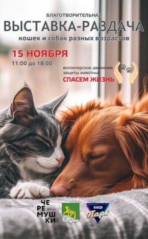 15 ноября во Владивостоке пройдет благотворительная выставка-раздача животных