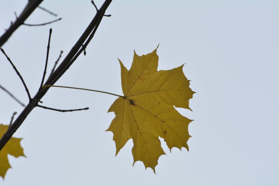  , !.          +1+8 C.  -  