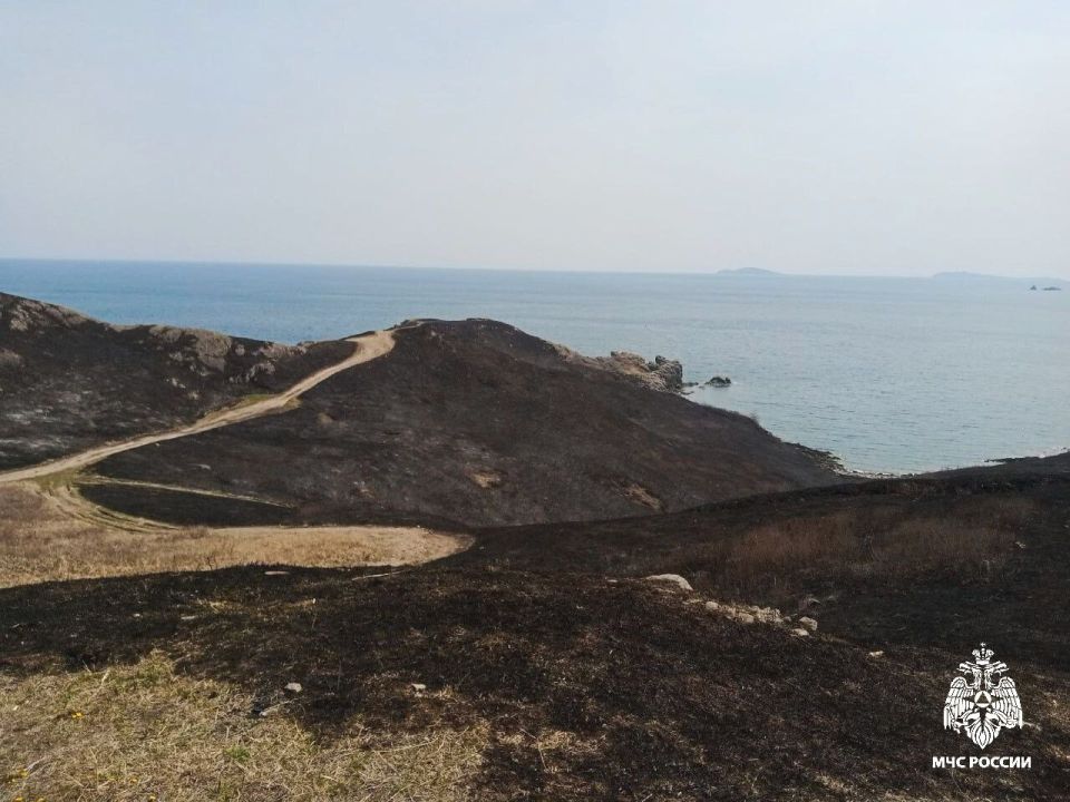    ....                      ...