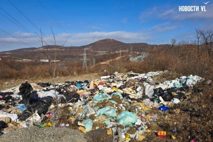 У объездной трассы на Снеговой организовалась несанкционированная свалка