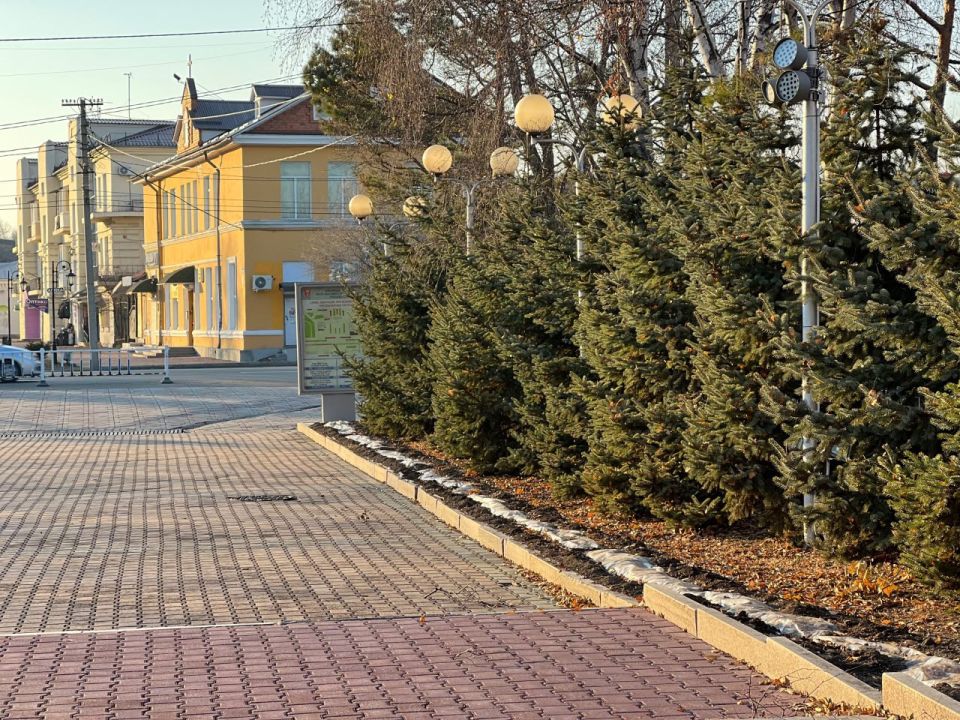 Доброе утро, Уссурийск!. Сегодня среда, 12 ноября — середина недели и хороший повод сделать паузу, вдохнуть глубже и зарядиться позитивом